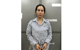 Bắt giữ, di lý Đinh Thị Trúc Linh