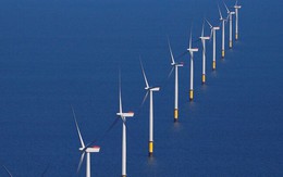 Đầu tư năng lượng tái tạo toàn cầu tăng 10%