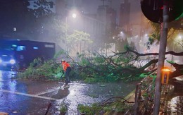 Siêu bão Ragasa: Sóng lớn "quất" Hồng Kông, hàng loạt thành phố Trung Quốc "nín thở"