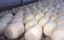 Vượt Trung Quốc, Mỹ chi hơn 2.100 tỷ để nhập một “sản vật” của Việt Nam, hơn 40 quốc gia cũng đặt hàng