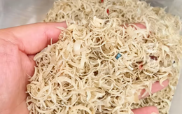 Vì sao Trung Quốc thu mua móng tay người với giá cao?