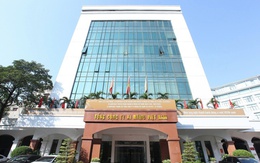 Khởi tố thêm 3 cựu Phó Tổng giám đốc Tổng công ty Xi măng Việt Nam