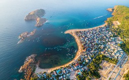 Việt Nam ngồi trên "kho báu" khổng lồ: Mỗi năm có thể thu về 1,9 tỷ USD từ thị trường toàn cầu