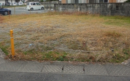 Mua mảnh đất 300 triệu để trồng cây, gia chủ bất ngờ đổi đời sau 1 năm: Đất để không cũng sinh lời gần 10 lần!