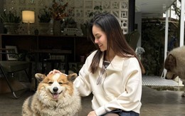 Nhan sắc vợ chưa cưới kém 16 tuổi của nam nghệ sĩ từng hủy hôn diễn viên Ngọc Lan