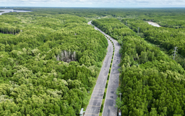 3 năm nữa từ TP.HCM đi Cần Giờ chỉ mất 15 phút, nhanh hơn ra sân bay, không bao giờ lo tắc đường