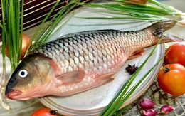 Ngộ độc nặng, tử vong chỉ vì ăn cá chép được chế biến kiểu này: Chuyên gia chỉ cách "né" nguy hiểm