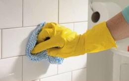 Top 8 cách phòng tránh kiến ba khoang hiệu quả, an toàn