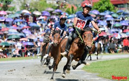 Đã có dự thảo về cá cược đua ngựa, hiện tại Việt Nam đang có trường đua ngựa nổi bật nào?