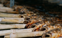 'Kho báu' dưới nước giúp Việt Nam thành ông trùm số 1 thế giới: chất lượng vừa rẻ vừa ngon, chỉ Việt Nam tạo nên ngành công nghiệp tỷ đô