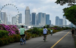 Phép màu kinh tế của 'con hổ châu Á' đứng trước mối đe doạ nghiêm trọng vì một con số thấp kỷ lục, các quan chức chạy nước rút trước khi 'đồng hồ điểm'