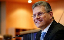 EU mở rộng hợp tác với ASEAN trong lĩnh vực thương mại, Việt Nam là hình mẫu