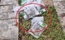 Nhìn thấy 16 chiếc túi nilon ở trước nhà, người phụ nữ nhanh chóng cùng chồng thông báo với chính quyền