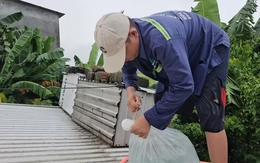 Người dân Huế dùng ‘cách lạ’ chằng chống nhà cửa trước bão gió ra sao?