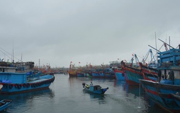 Tưởng bão số 10 đi qua, 13 ngư dân TP HCM trở lại tàu rồi gặp nạn