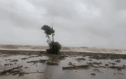 Nhà sập, nhiều nơi chìm trong "biển" nước khi bão số 10 Bualoi đổ bộ