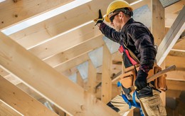 BioStrong Wood: Siêu gỗ mạnh hơn thép