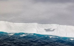 Tảng băng lớn nhất thế giới đang suy yếu, gây nguy cơ khó lường
