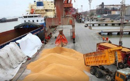 Trung Quốc, Campuchia đua nhau săn 'kho vàng' mới nổi của Việt Nam: bỏ túi hơn 700 triệu USD, nước ta đứng thứ 8 thế giới về sản lượng