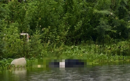 Hé lộ thông tin đau lòng vụ 2 nữ công nhân tử vong tại 
hồ Hoàng Mai 3