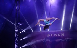 Nữ nghệ sĩ xiếc đu dây ngã tử vong từ độ cao 5 mét trước sự kinh hoàng của hàng trăm khán giả