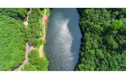 Trung Quốc, Nhật Bản, Hàn Quốc hợp tác giải quyết các vấn đề môi trường