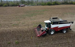 Bị Mỹ làm khó với dầu thô, Nga ngỏ ý xuất khẩu sang Ấn Độ một mặt hàng chiến lược khác: Moscow sản xuất dẫn đầu thế giới, sắp đón vụ thu hoạch bội thu kỷ lục