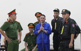 Tử hình 'ông trùm' Nguyễn Thành Long