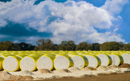 Xuất khẩu sang Trung Quốc lao dốc 90%, Mỹ tăng mạnh đưa một mặt hàng vào Việt Nam: Nước ta tiêu thụ đứng thứ 3 thế giới