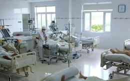 Rắn độc liên tiếp tấn công người, bác sĩ cảnh báo hiểm họa rình rập mùa mưa