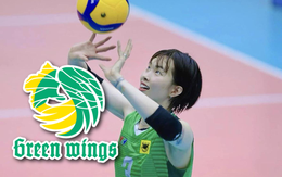 "Khủng long" Việt Nam lại xuất ngoại, chờ tỏa sáng ở Nhật Bản