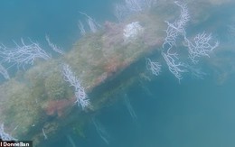 Khám phá gây sốc dưới biển Tây Ban Nha có thể là thủ đô huyền thoại Atlantis