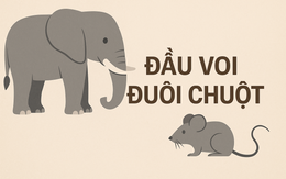Câu nào diễn đạt ý nghĩa "đầu voi, đuôi chuột"?