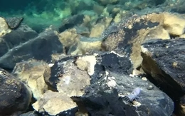 Tàu ngầm Trung Quốc khám phá những miệng hố khổng lồ chưa từng thấy ở Thái Bình Dương