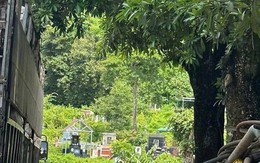 Phát hiện thi thể đang phân hủy trong nghĩa trang