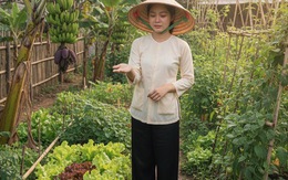 Con dâu đau đớn và phẫn nộ khi phát hiện ra chiếc hoa tai vàng của mẹ chồng nằm ở bụi chuối suốt 2 tháng