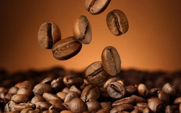Phát hiện 6 "bảo bối" chống tiểu đường trong cà phê