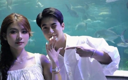 Chuyện tình được "xin vía" của Bắc Vũ - Chang Mây trước khi tanh bành: Từng cầu hôn ở thuỷ cung?