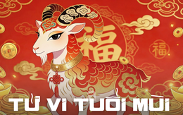 Tổng quan tử vi tuổi Mùi năm Bính Ngọ 2026: Chậm mà chắc, lộc lá đầy nhà