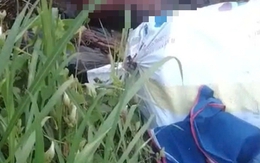 TPHCM: Tìm người thân của thi thể được phát hiện gần trạm thu phí cầu Phú Mỹ