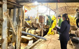 Người phụ nữ tử vong sau khi rơi vào máy nghiền rác