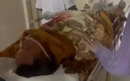 Người đàn ông nguy kịch nghi nhiễm liên cầu khuẩn lợn sau khi ăn tiết canh dê