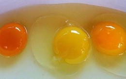 Đập trứng gà ra bát thấy lòng đỏ đậm và nhạt khác nhau, loại nào nhiều chất hơn?