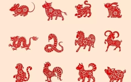 Tử vi ngày mới 14/1: 3 con giáp được Thần tài "nhìn trúng", sự nghiệp viên mãn, tiền bạc rủng rỉnh