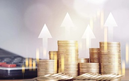 Top 4 con giáp đắc tài, đắc lộc nhất năm 2026