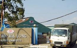 Vụ patê 'dính' lợn bệnh: Đồ hộp Hạ Long tạm ngừng sản xuất, người lao động ra sao?