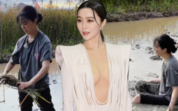 Hết cứu Phạm Băng Băng