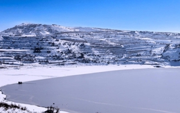 Phát hiện trữ lượng khoáng sản lớn, gần như “không cạn kiệt” trong 1 khu rừng rậm, đủ cung cấp năng lượng cho hàng triệu xe điện