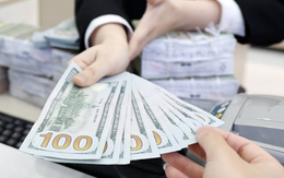 Người dân lưu ý đổi USD đúng chỗ để tránh bị phạt nặng theo quy định mới
