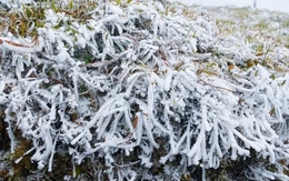 Tin gió mùa đông bắc mới nhất: Bao giờ miền Bắc chuyển mưa rét đến 6 độ C?